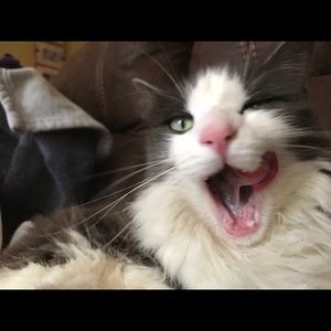 Meet your Posher, Lindsey